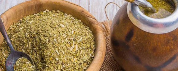 Yerba maté