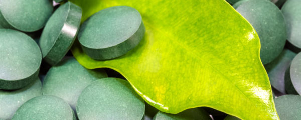 Spiruline bio